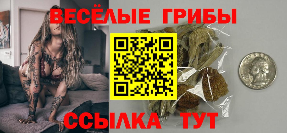 Псилоцибиновые грибы Cubensis  Петропавловск-Камчатский 