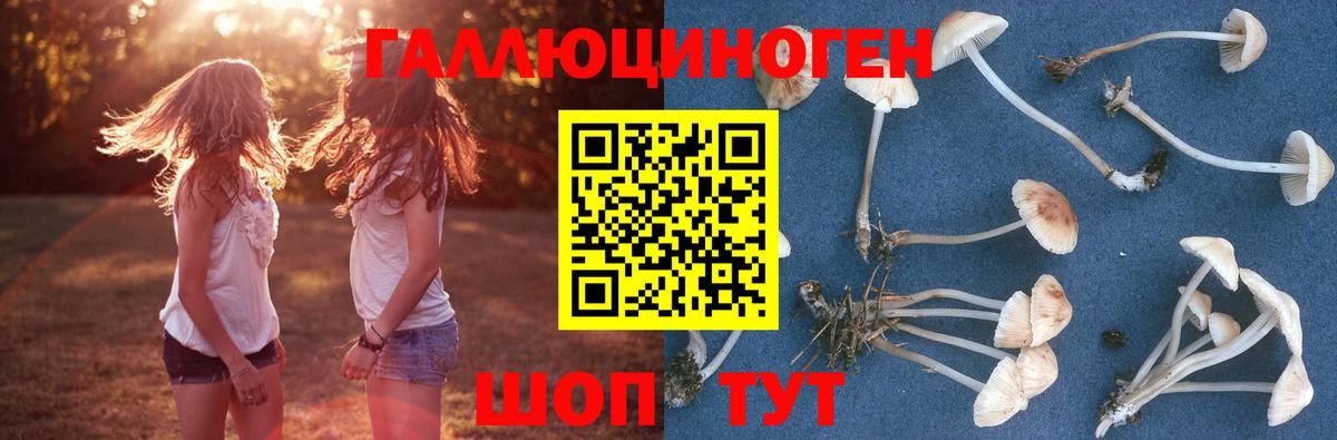 Галлюциногенные грибы прущие грибы Петропавловск-Камчатский