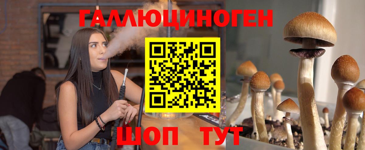 Каннабис  ГАШ  Петропавловск-Камчатский  ГАШИШ  ЭКСТАЗИ  Конопля  МЕФ   A-PVP СК  